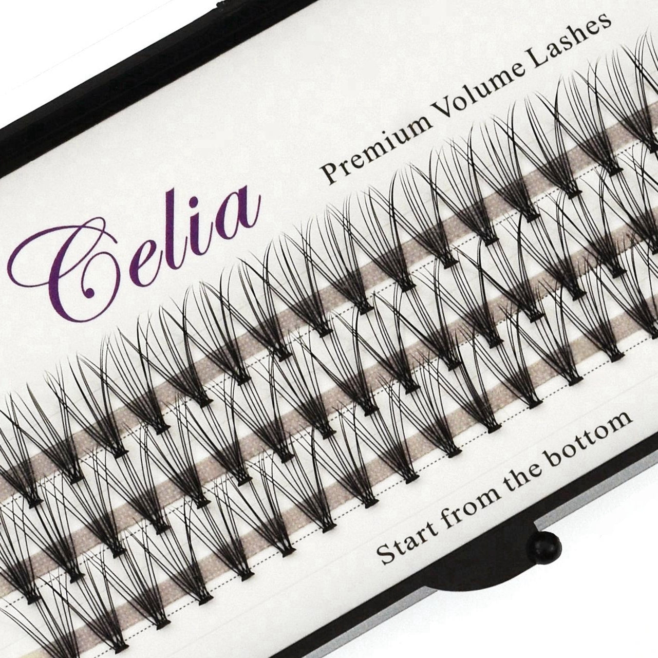 Cluster Lashes - Natural 10p- C Curl - 60 Stand
