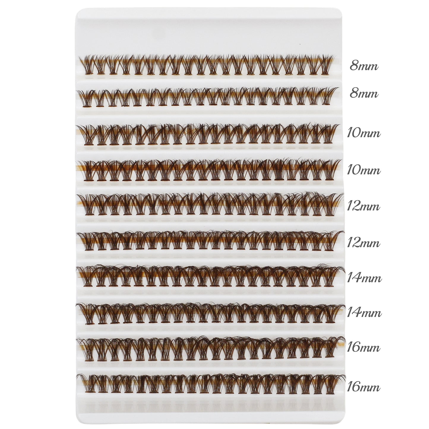 Cluster Lashes - Brown - 40p D Curl (8-16mm) Fluffy