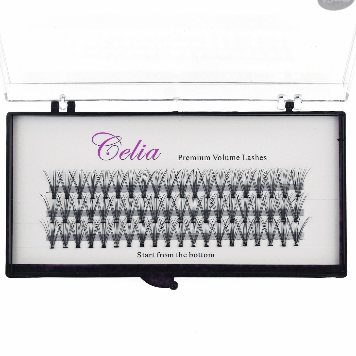Cluster Lashes - Natural 10p- C Curl - 60 Stand