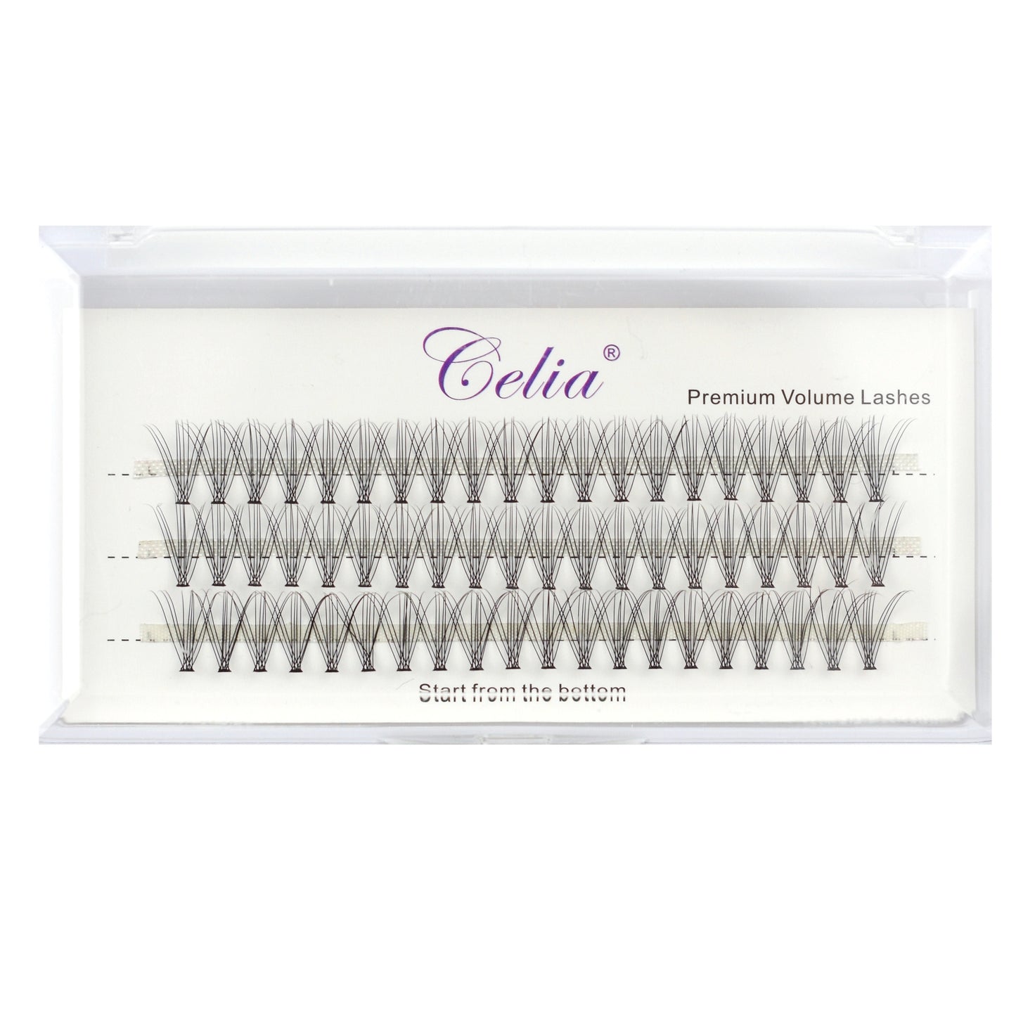 Cluster Lashes - Natural 10p- C D Curl - 60 Stand