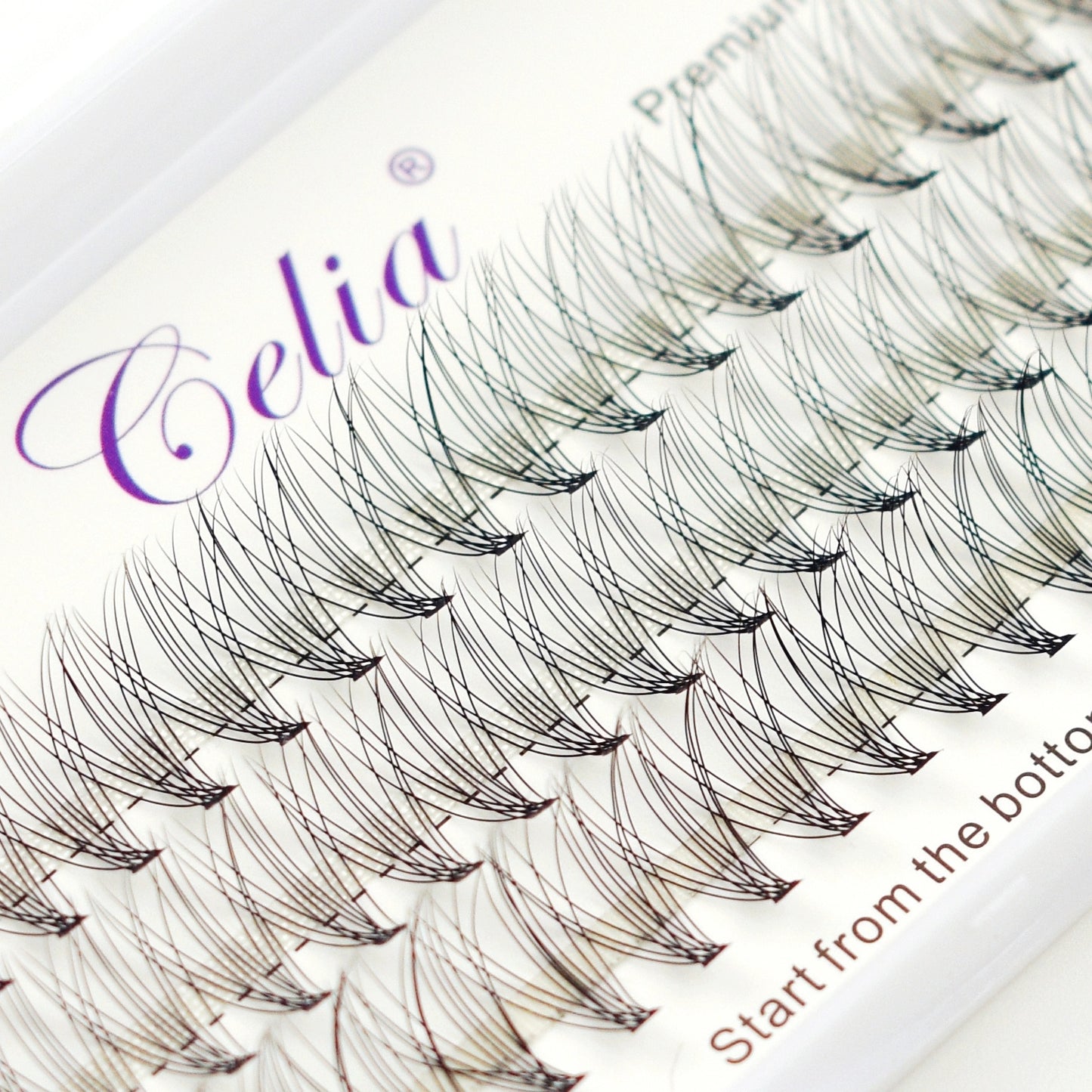 Cluster Lashes - Natural 10p- C D Curl - 60 Stand