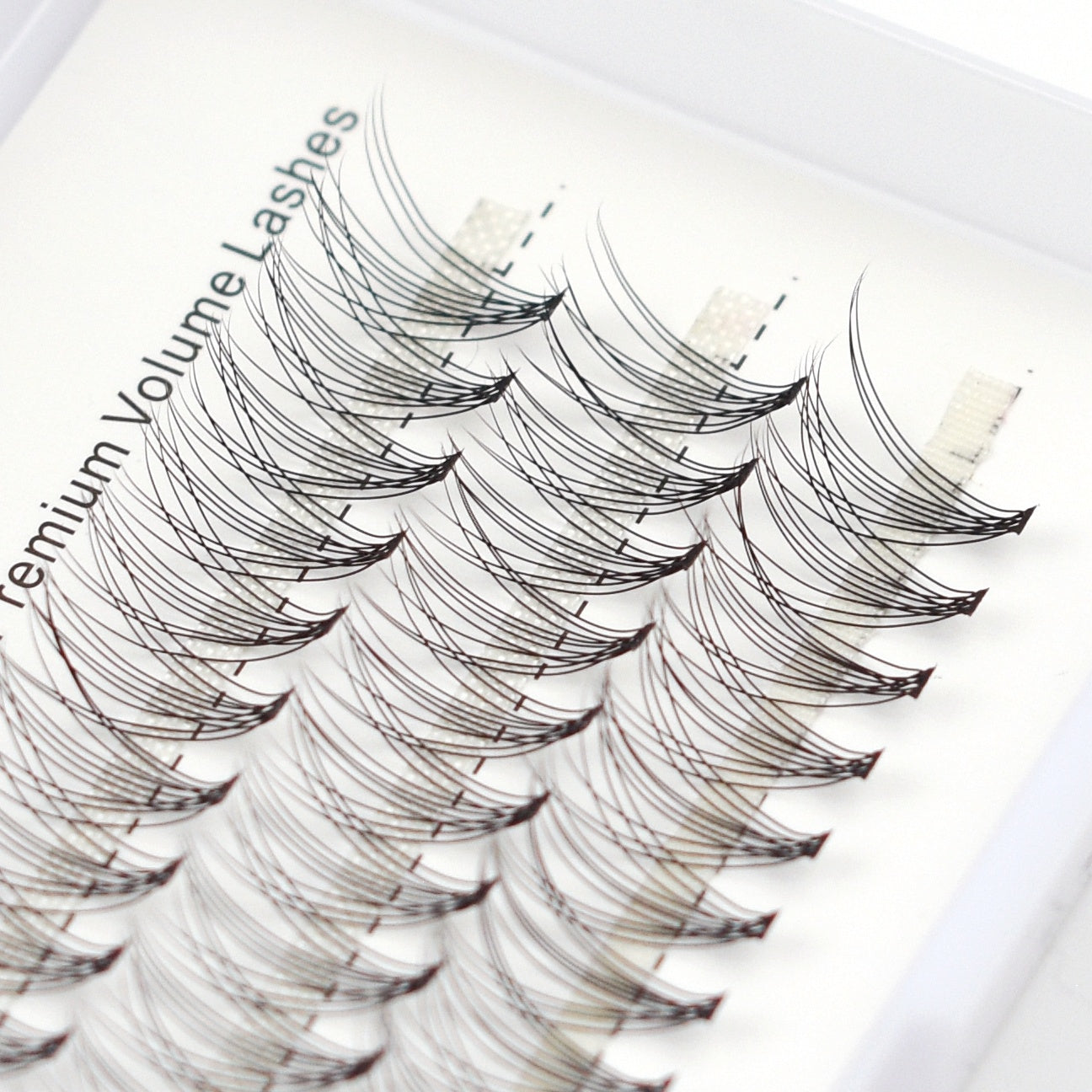 Cluster Lashes - Natural 10p- C D Curl - 60 Stand