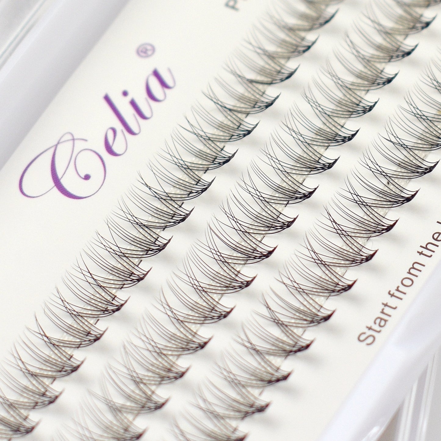 Cluster Lashes - Natural 10p- C D Curl - 60 Stand
