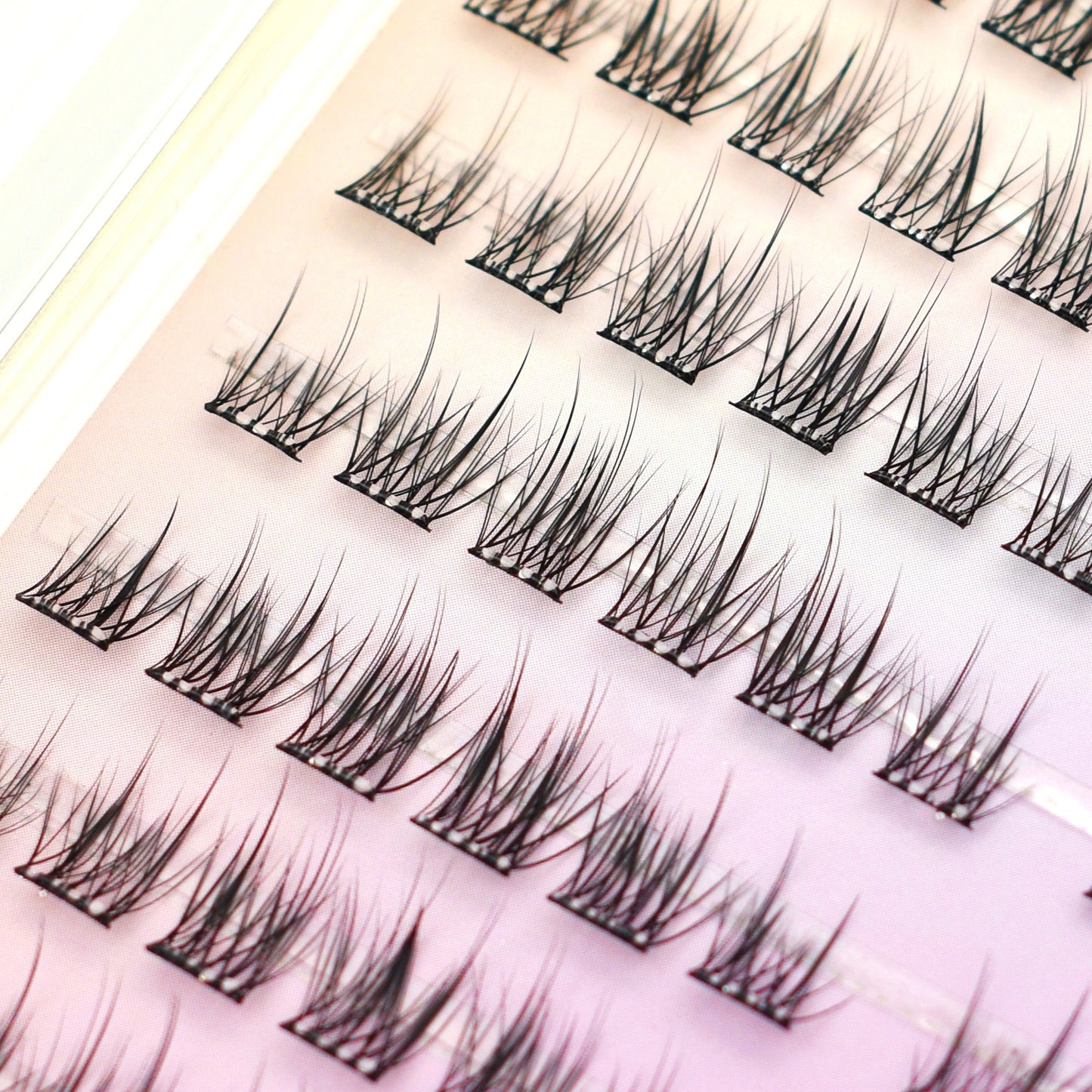 Pre Glued Cluster Lashes C Curl 8-12mm